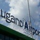 Lugano Airport (foto Liliana Hollender)