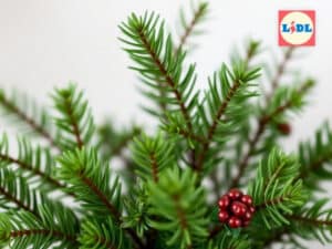 scopri le offerte sulle piante della settimana da Lidl