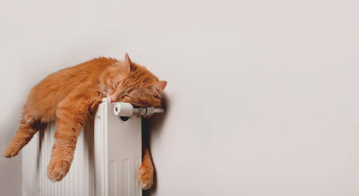 riscaldare tutte le stanze di una casa