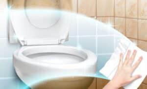 Tartaro nel WC
