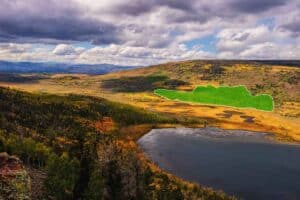 Pando : un gigante della natura 17 volte più antico delle Piramidi