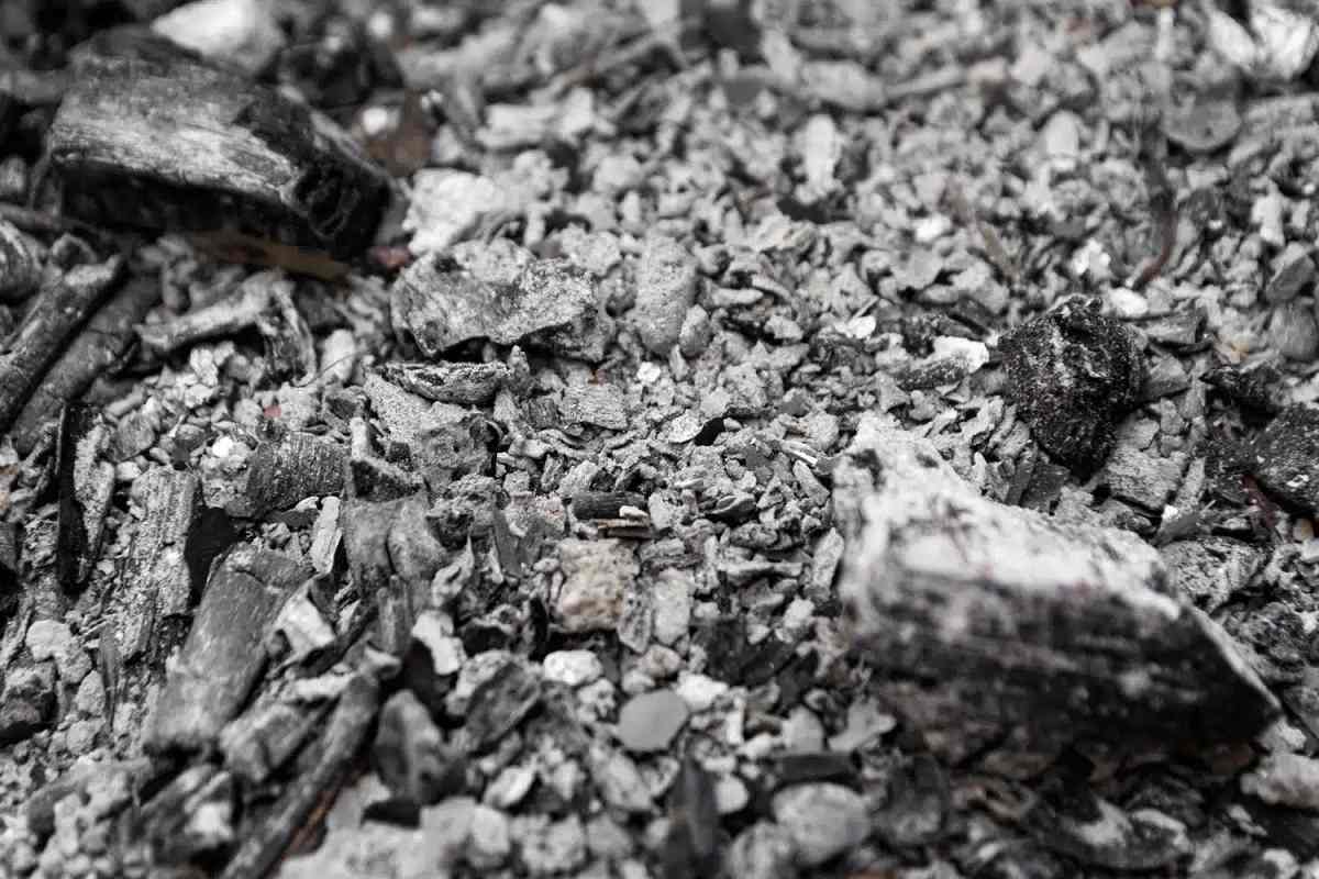 Scoprite i sorprendenti usi che possono avere in casa e in giardino