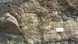 L’Europa potrebbe essere il vero luogo d’origine dell’umanità