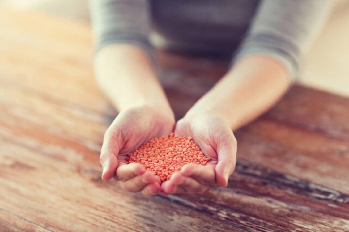 alimento prezioso per perdere peso