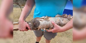 Un semplice pezzo di legno sul portico