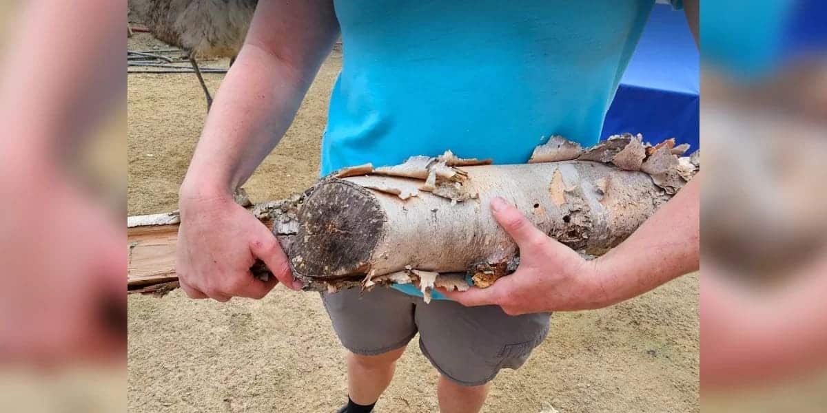 Un semplice pezzo di legno sul portico