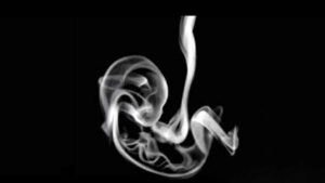 Cosa vedi per primo ?