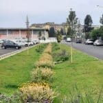 Il Sole 24 Ore