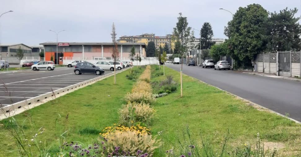 Il Sole 24 Ore