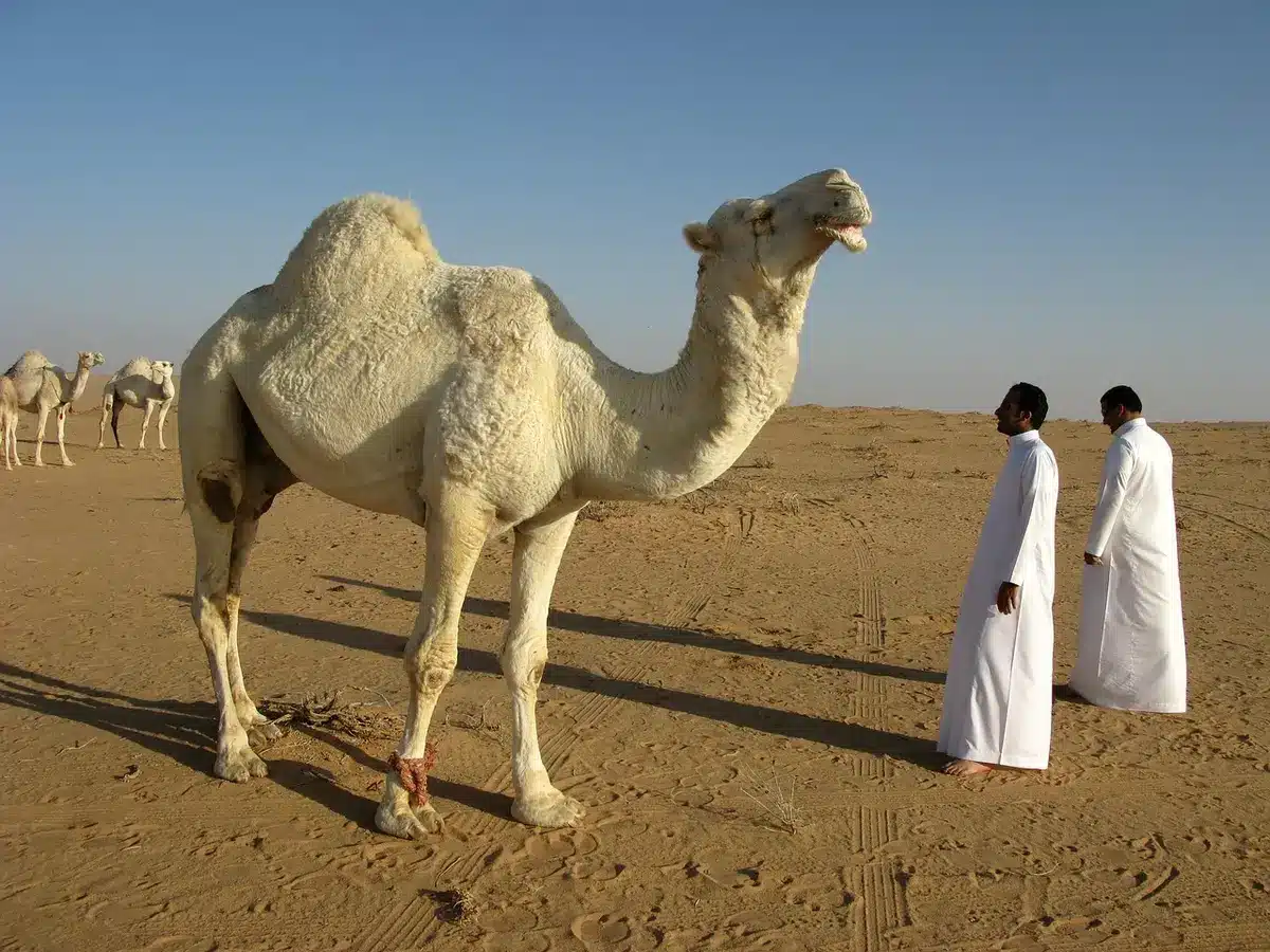 Rappresentazione simbolica della collaborazione tra Arabia Saudita e Russia nel settore petrolifero