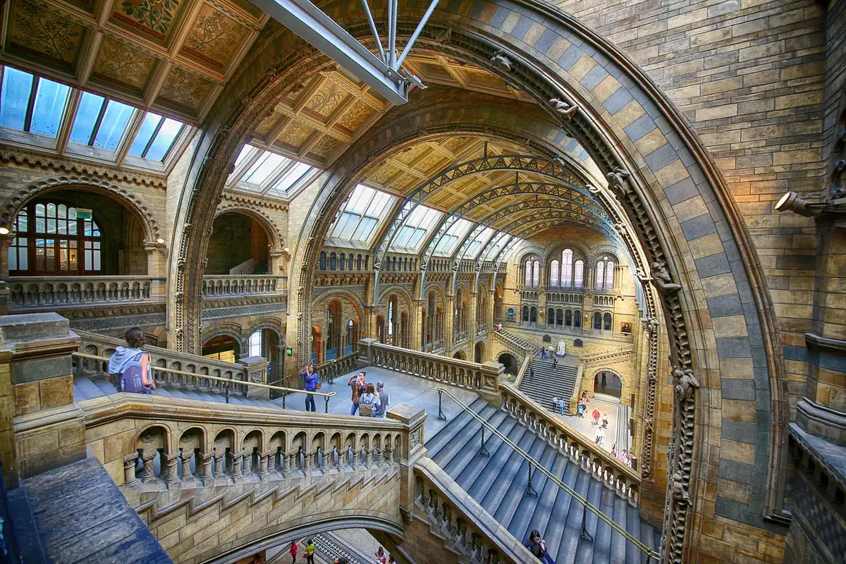 Interno restaurato di un edificio storico trasformato in galleria